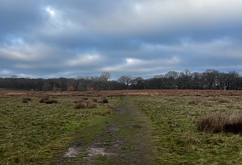 Winter League - Cross Country (Welwyn Garden) on Sat Jan 10th Jan 2026 credit: Nicola Kaye